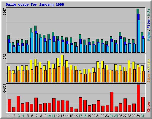 Daily usage for January 2009