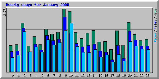 Hourly usage for January 2009